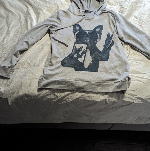 COPY - Gray Hoodie - Picture 2 of 3